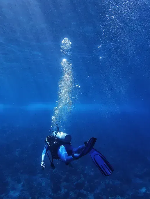 Scuba Diving